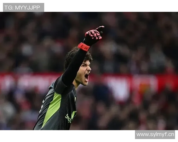 费迪南德称赞拉门斯在对桑德兰的表现增强全队信心展现稳健风范 费迪南德称赞拉门斯在对桑德兰的表现增强全队信心展现稳健风范