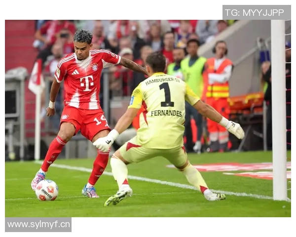 拜仁外租门将佩雷茨在汉堡无球可踢冬窗或寻新机会