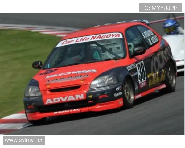 文班在2K模拟数据中表现出色福克斯与卡斯尔同样不容小觑 文班在2K模拟数据中表现出色福克斯与卡斯尔同样不容小觑